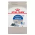 Royal Canin Feline Indoor 7+ Mature Dry Cat Food, Health Nutrition image thumbnail 1