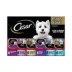 Cesar® Classics Steak & Chicken Lovers Adult Wet Dog Food - Loaf & Filets in Gravy, 36 Count image thumbnail 1
