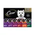 Cesar® Classics Adult Wet Dog Food - Loaf, 36 Count image thumbnail 1