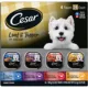 Product Cesar® Classics Adult Wet Dog Food - Loaf & Topper, 24 Count