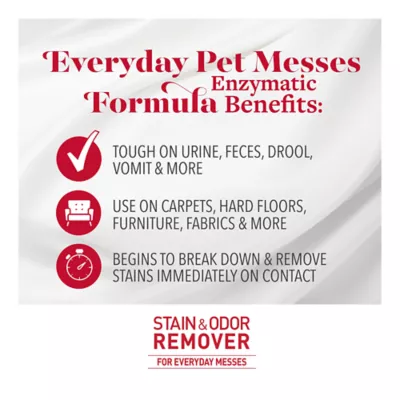 Product Nature's Miracle® Just for Cats Stain & Odor Remover