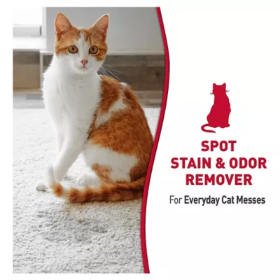 Product Nature's Miracle® Just for Cats Stain & Odor Remover