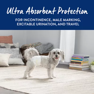 Product Top Paw® Disposable Male Wrap Dog Diapers