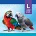 All Living Things® Diamond Ball Bird Toy image thumbnail 2