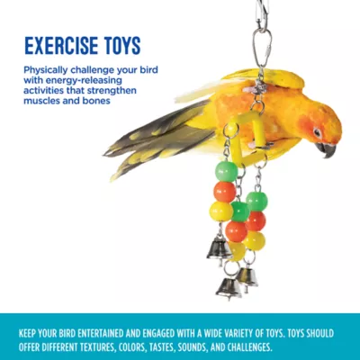Product All Living Things® Diamond Ball Bird Toy