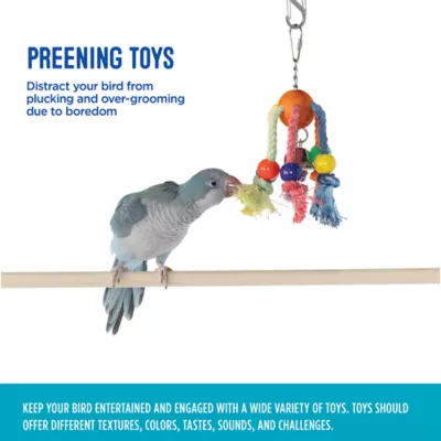 Product All Living Things® Rope Spider Bird Toy