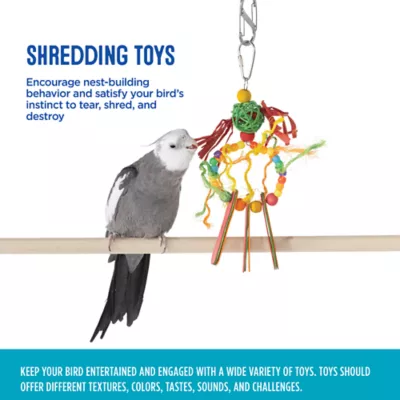 Product All Living Things® Dream Catcher Bird Toy