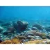 Top Fin® Underwater Garden & Riverbed Reversible Aquarium Background image thumbnail 2