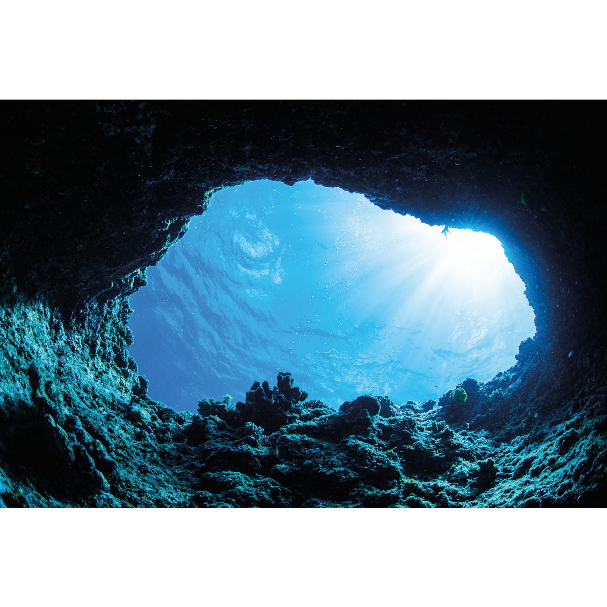 Unduh 58 Background For Aquarium Gratis Terbaru