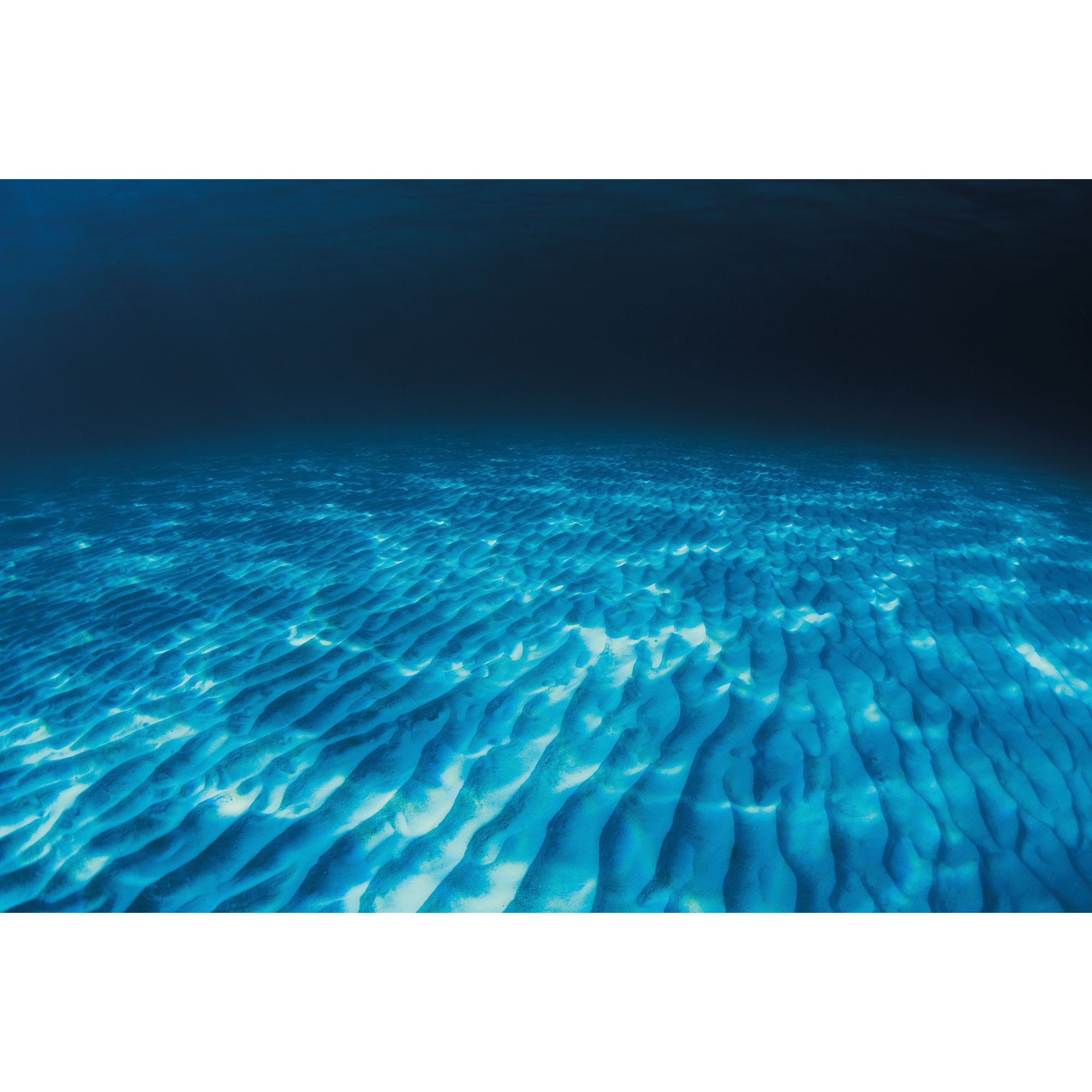 Top Fin® Rippled Sand & Ocean Floor Reversible Aquarium Background