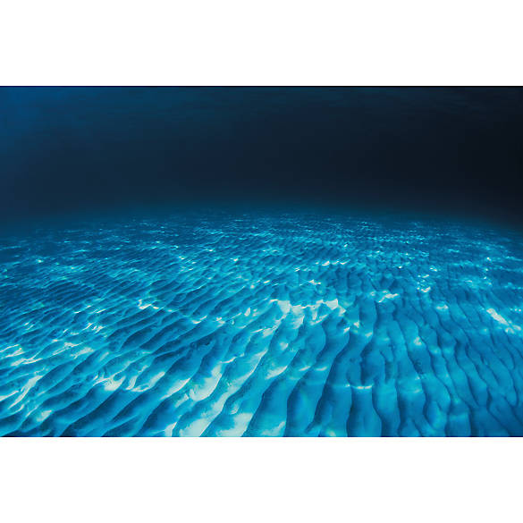 Shoptagr Top Fin Ripples Ocean Floor Reversible Aquarium