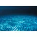 Top Fin® Rippled Sand & Ocean Floor Reversible Aquarium Background image thumbnail 1