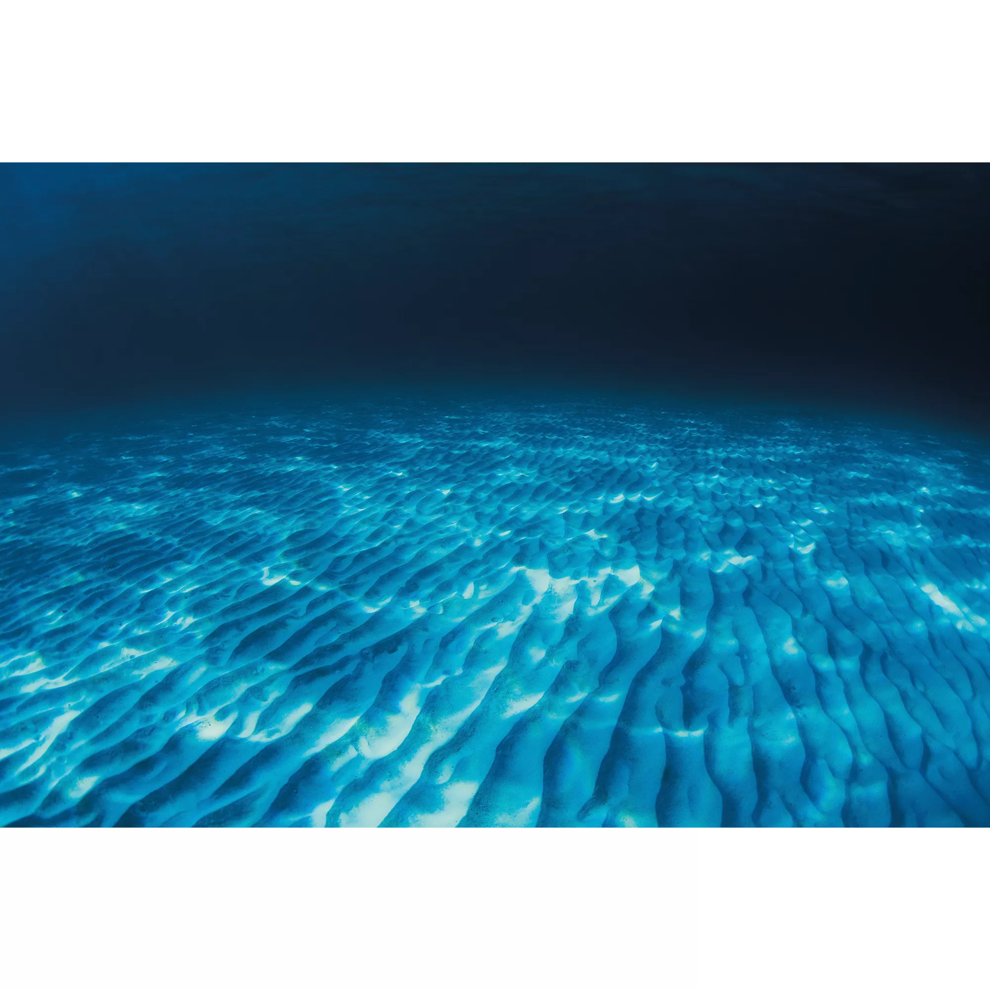 Top Fin® Rippled Sand & Ocean Floor Reversible Aquarium Background