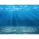 Product Top Fin® Rippled Sand & Ocean Floor Reversible Aquarium Background