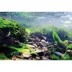 Top Fin® Tropical & Riverbed Reversible Aquarium Background image thumbnail 1