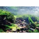 Product Top Fin® Tropical & Riverbed Reversible Aquarium Background