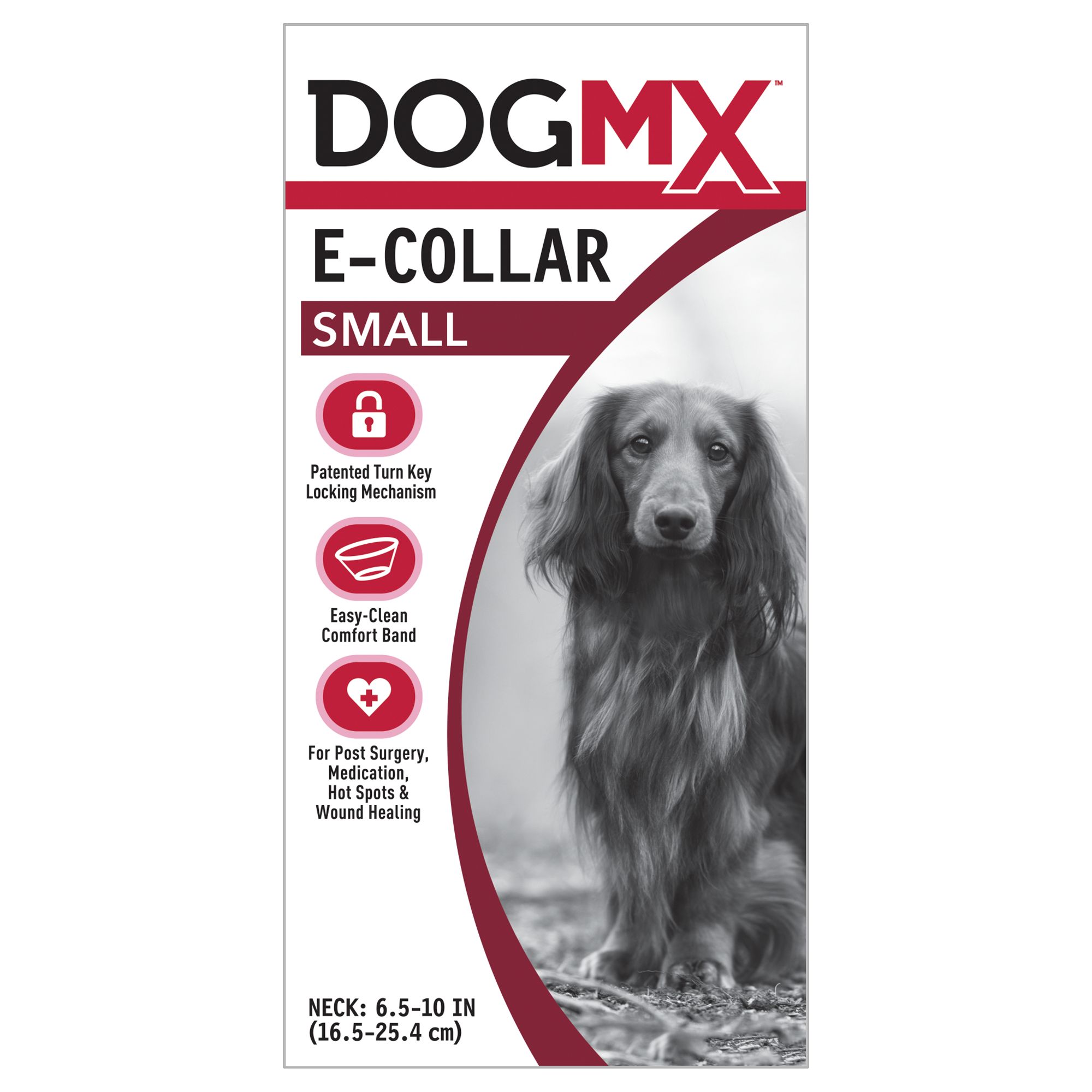 soft e collar petsmart