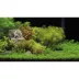 Top Fin® Underwater Garden & Riverbed Reversible Aquarium Background image thumbnail 1