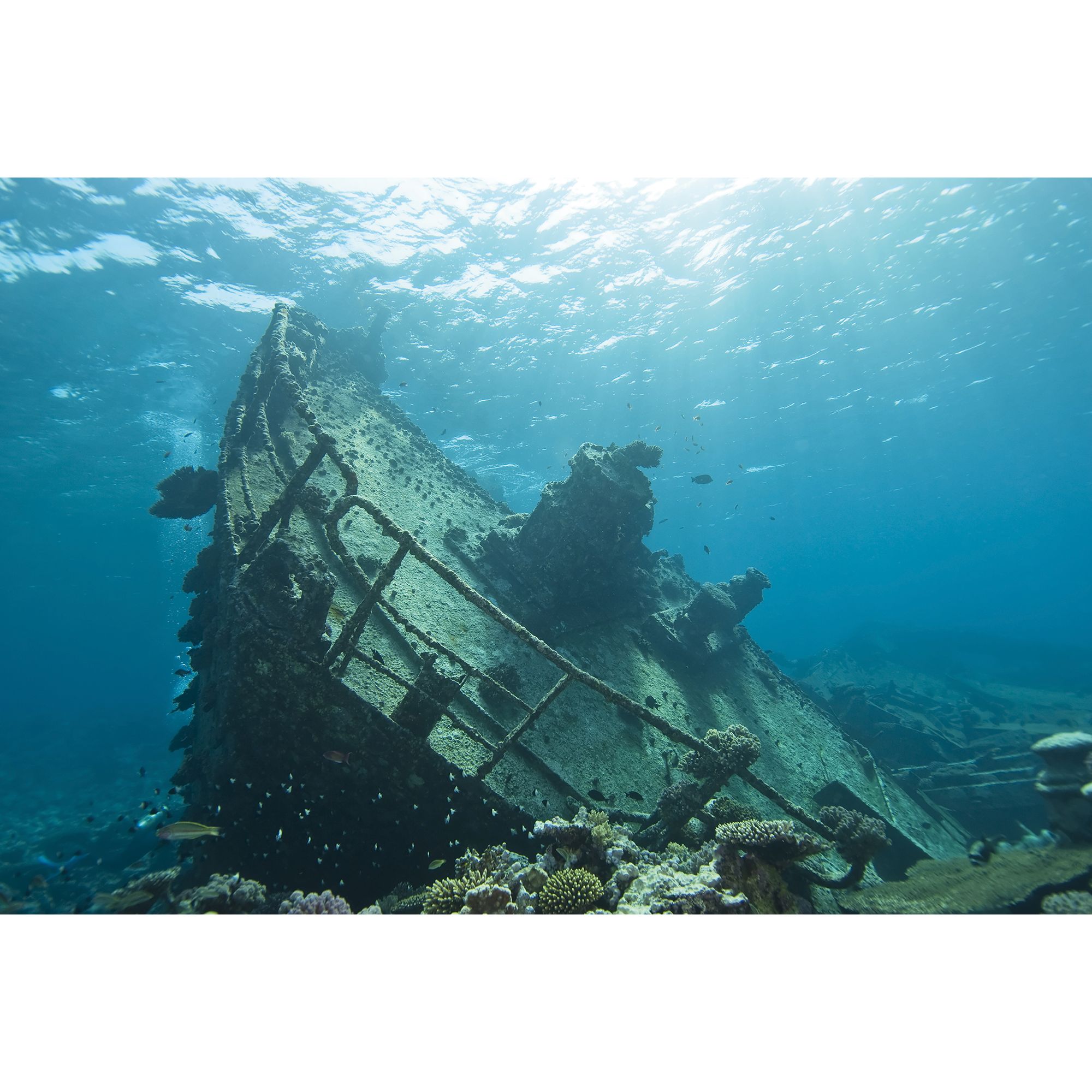 Top Fin Cave Shipwreck Reversible Aquarium Background Fish