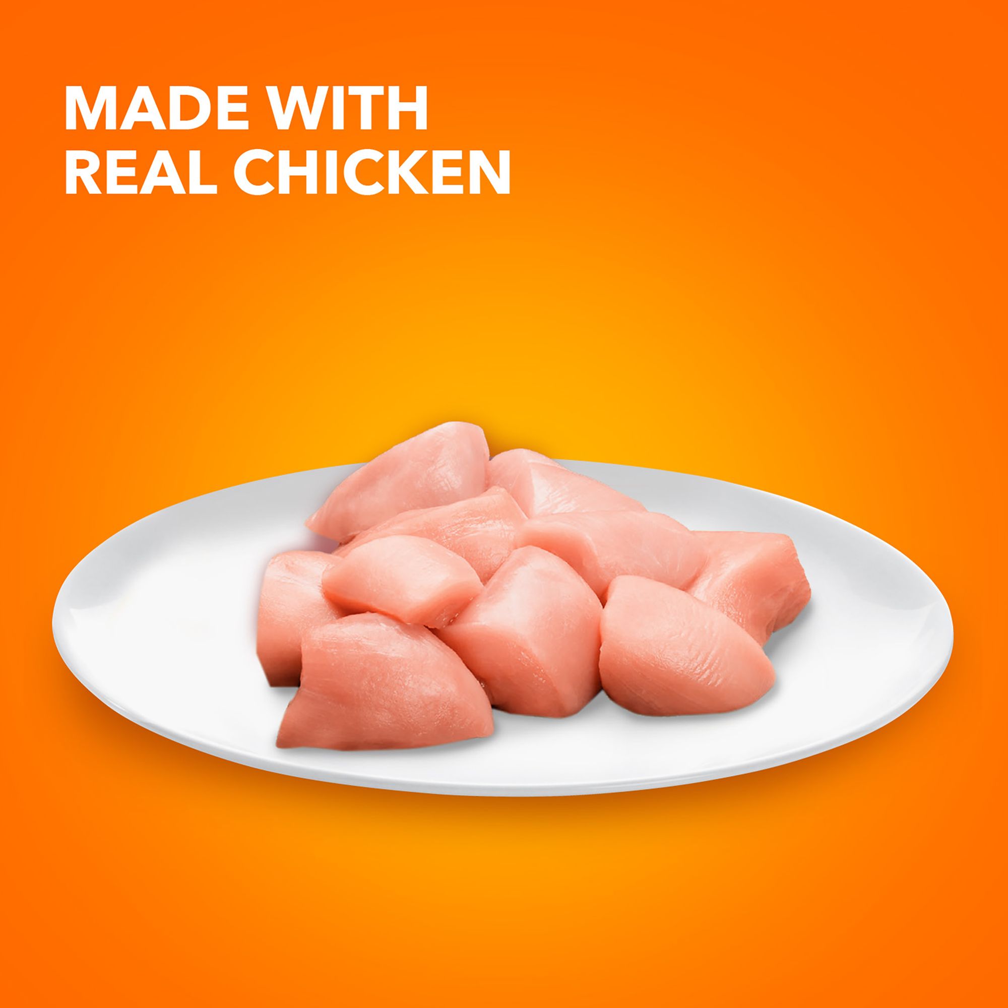 iams healthy kitten wet food