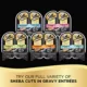 Product Sheba® Perfect Portions Adult Wet Cat Food - Cuts in Gravy, Variety Pack, 48 CT, 63.4 OZ