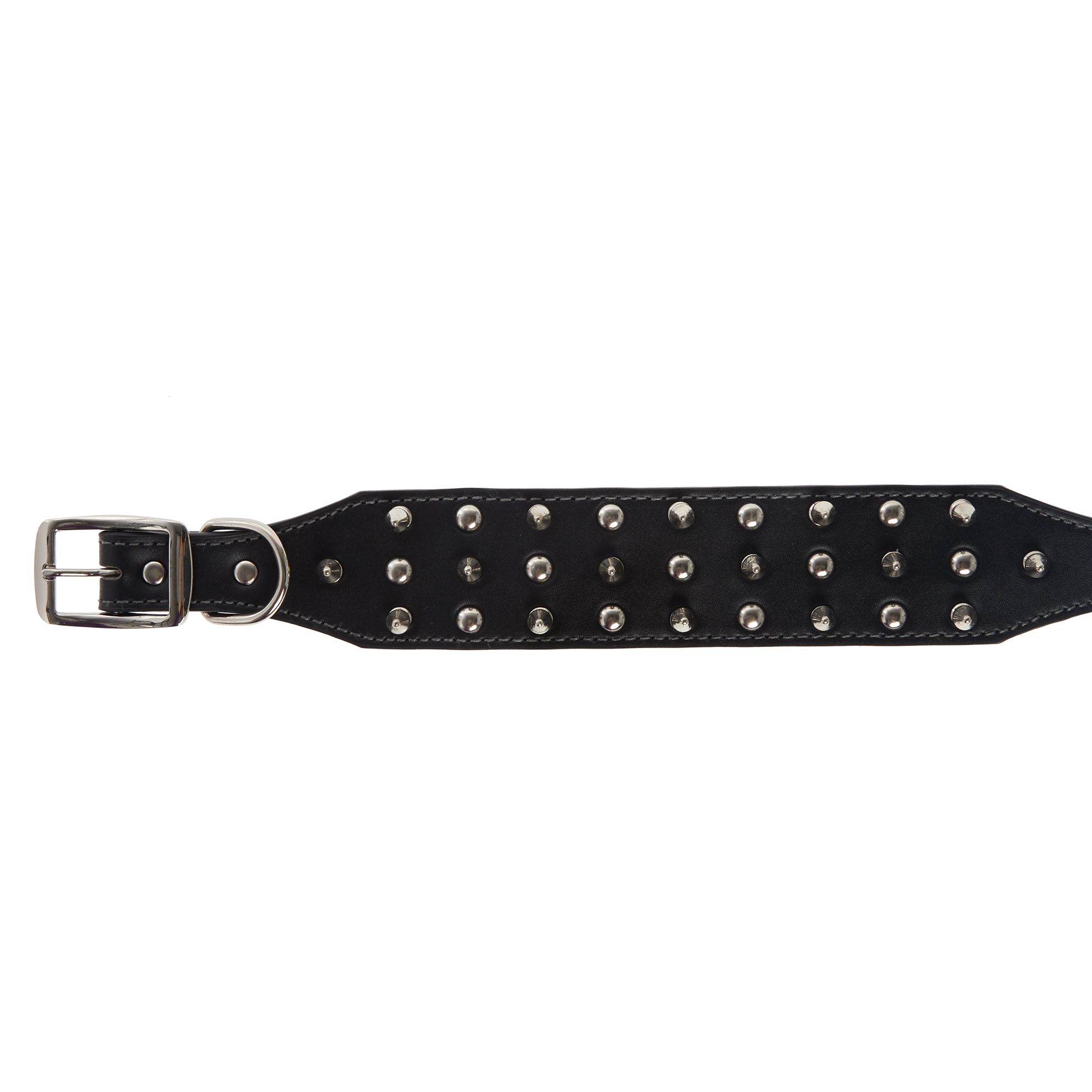 Top Paw® Leather Spike Dog Collar | dog 
