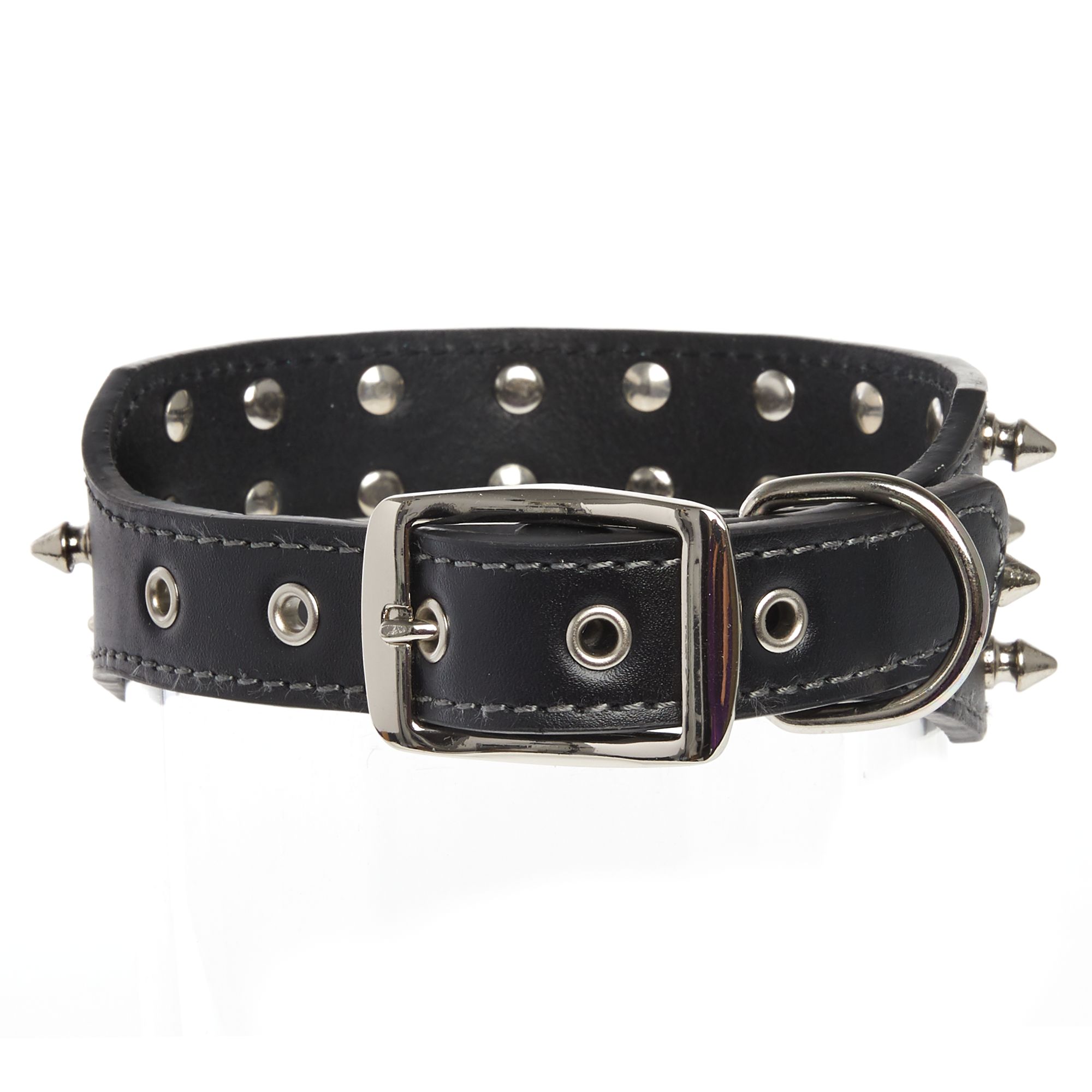 black dog collar