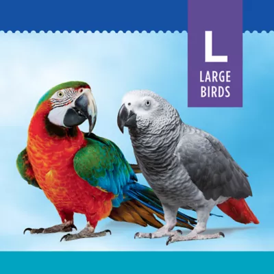 Product All Living Things® Coconut Hut Bird Toy