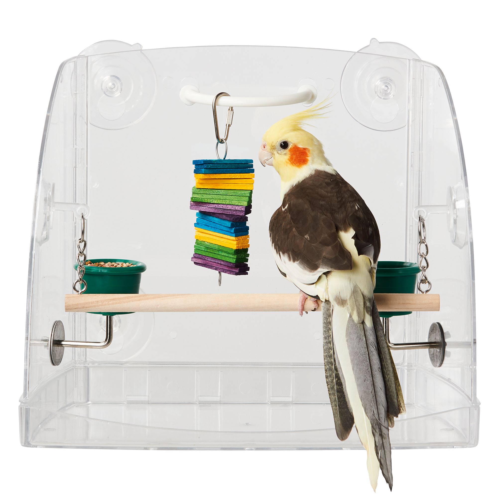 All Living Things® Lookout Perch Toy bird Toys PetSmart