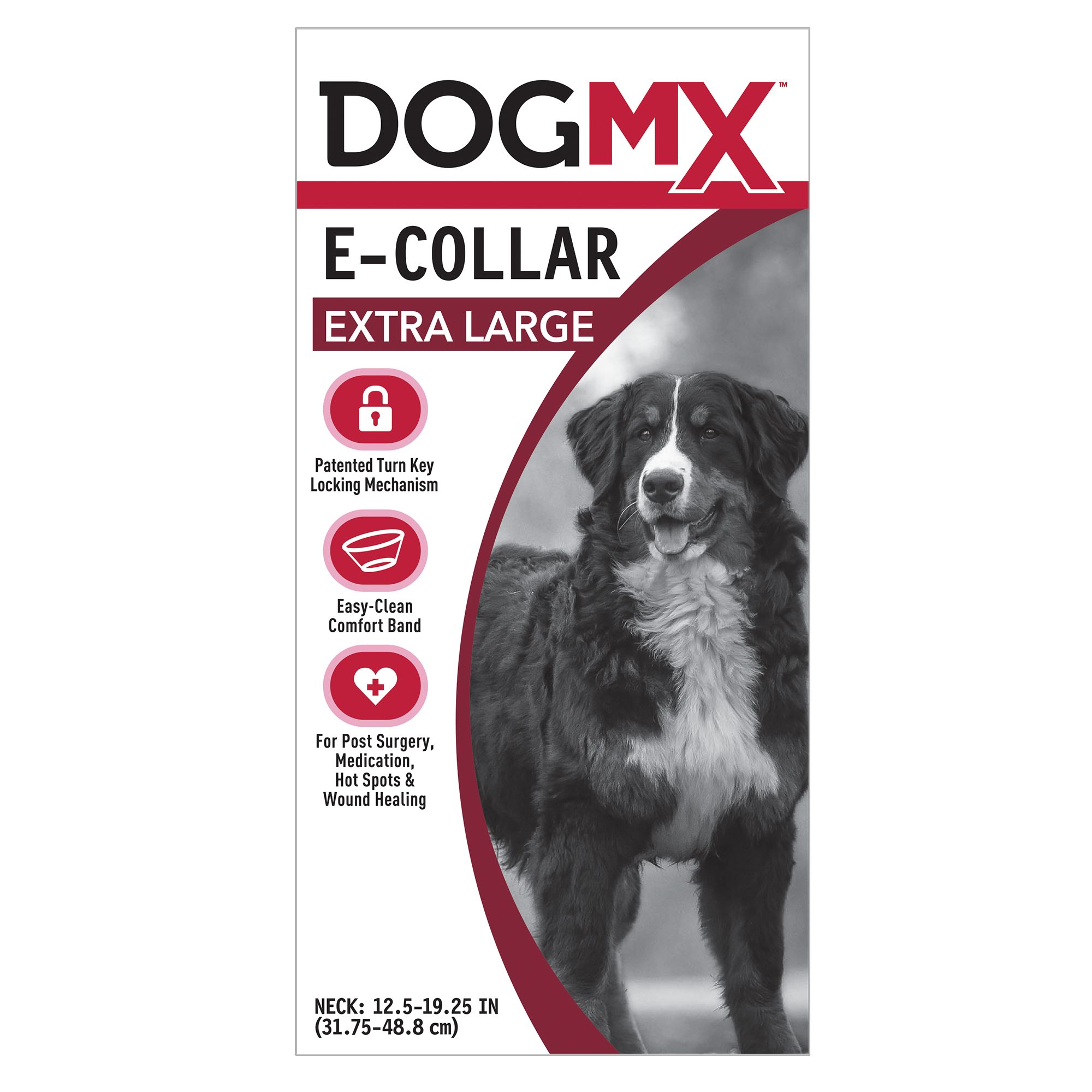 soft e collar petsmart