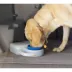 Heininger PortablePet Waterboy Travel Dog Bowl image thumbnail 2