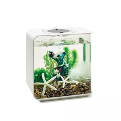 Product Biorb Easy Décor Kit