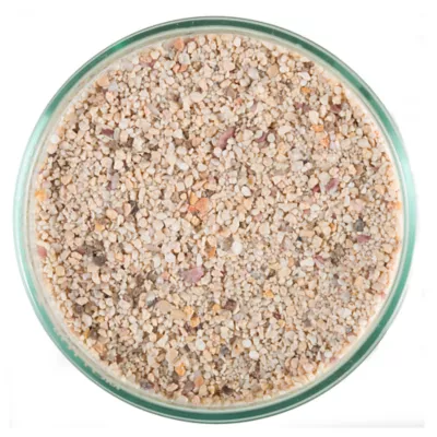 CaribSea Aragalive in Fiji Pink