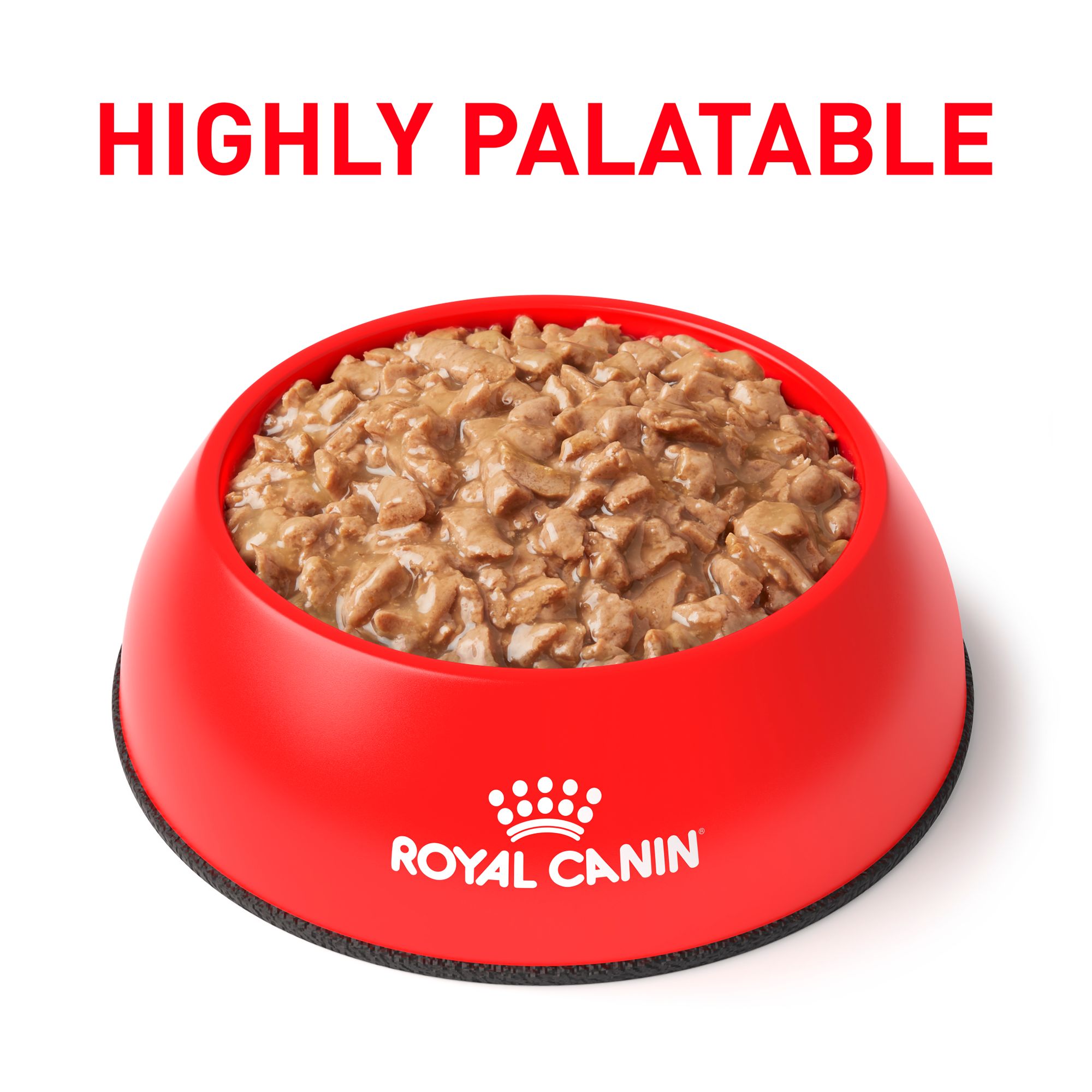 royal canin morsels in gravy