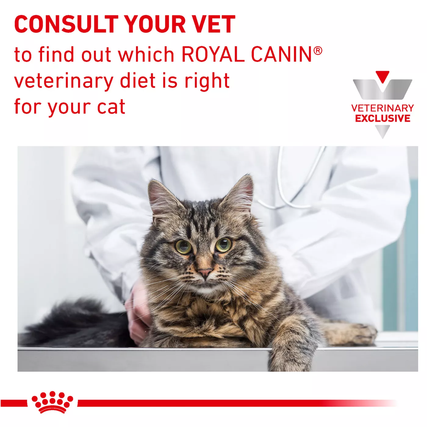 Product Royal Canin® Veterinary Diet Feline Urinary SO Adult Cat Morsels In Gravy Wet Food  3 oz can