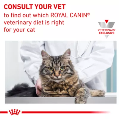 Product Royal Canin® Veterinary Diet Feline Urinary SO Adult Cat Morsels In Gravy Wet Food  3 oz can