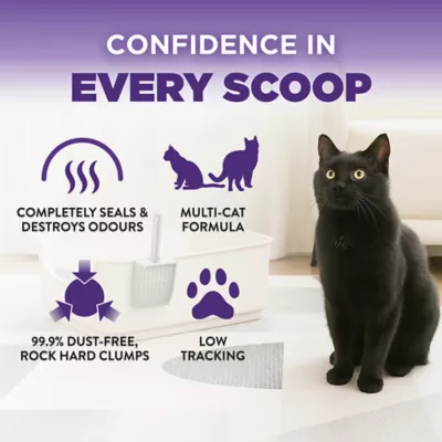Arm & Hammer Slide Cat Litter - Clumping, Multi-Cat - Image 5