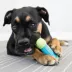 KONG® CoreStrength Bone Dog Toy image thumbnail 2