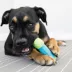 KONG® CoreStrength™ Ball Dog Toy image thumbnail 2