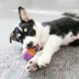 KONG® Squeezz™ Action Ball Dog Toys - 3 Pack image thumbnail 2