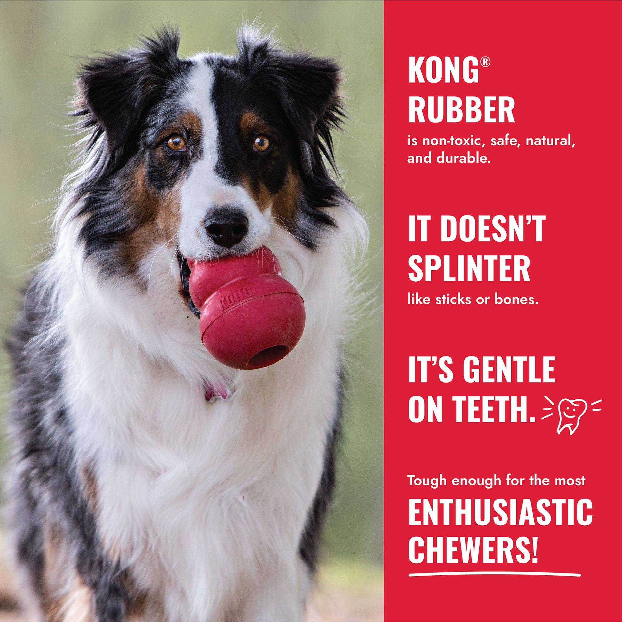 KONG Rubber Ring Dog Toy