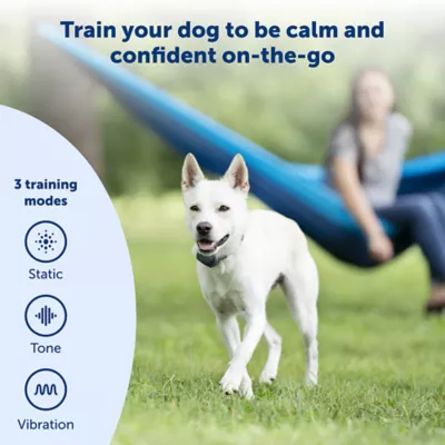 Product PetSafe® Yard Remote Training Collar - Tone/Vibration/15 Levels of Static