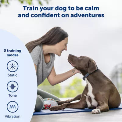 Petsmart dog training collars best sale