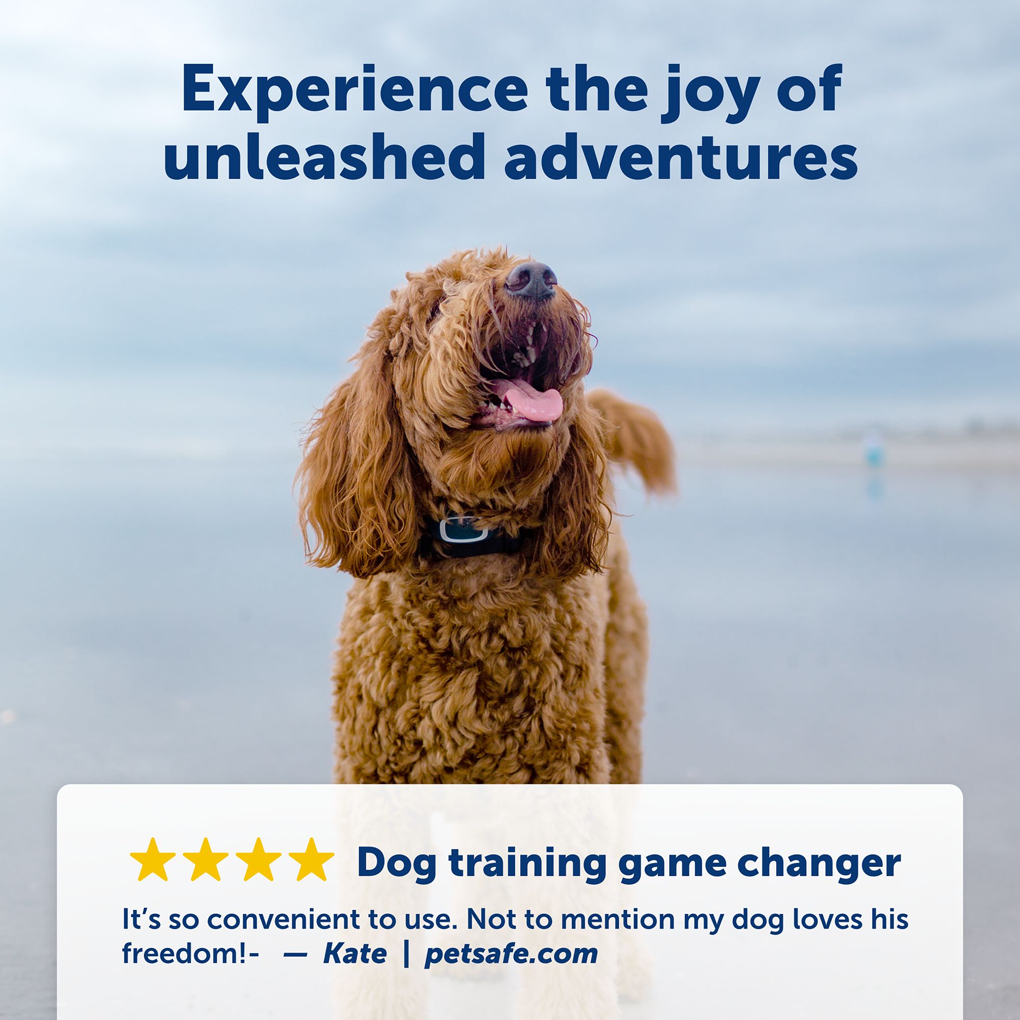 petsmart wireless pet containment system