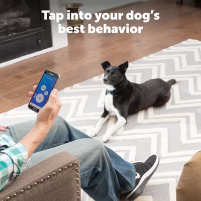 PetSafe Smart Dog Trainer