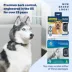 PetSafe® Rechargeable Bark Collar - 15 Levels of Static Correction - Waterproof - For Dogs 8 lb+ image thumbnail 6