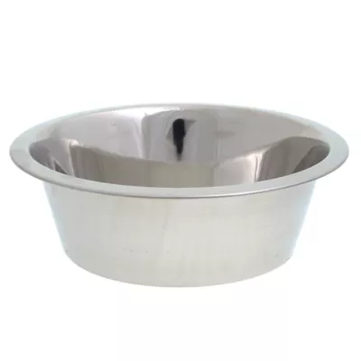 Top Paw Stainless Steel Dog Bowl Size 6.5 Cup PetSmart