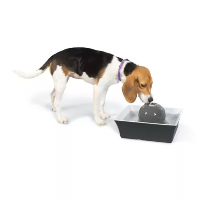 PetSafe Drinkwell Pet Fountain Seascape