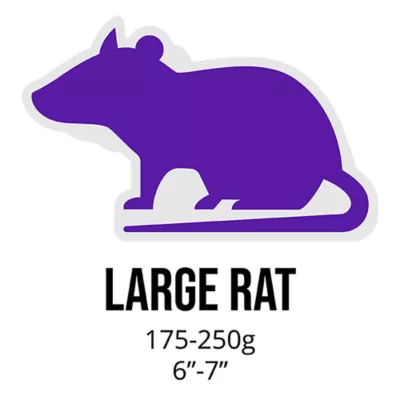 Product Arctic Mice Frozen Large Rats