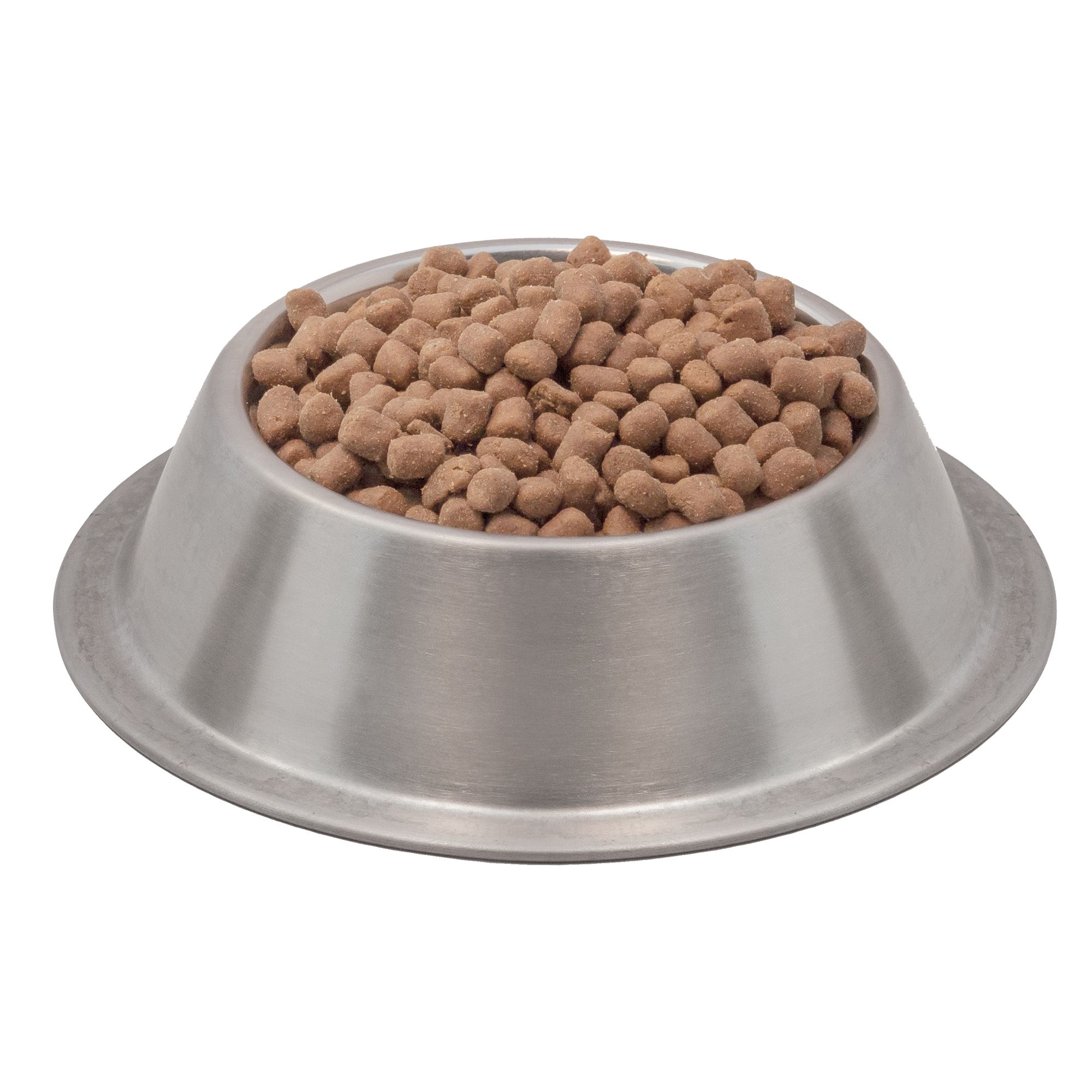 wysong dog food near me